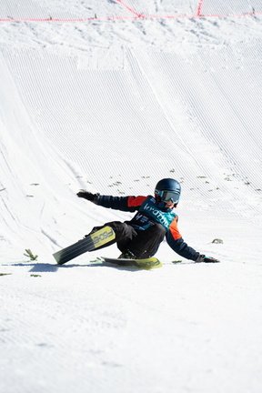 DSC02086 David Gutmann