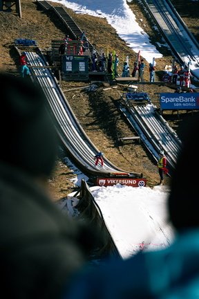 DSC01944 David Gutmann